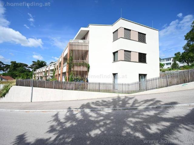 Apartment mieten in Eisenstadt, Burgenland
