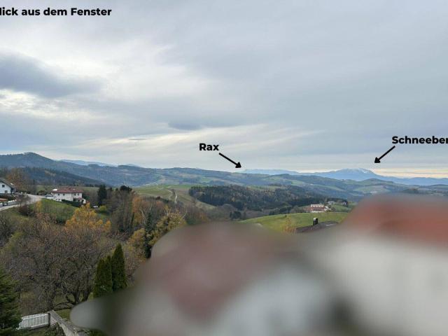 Apartment mieten in Wiesmath, Niederösterreich