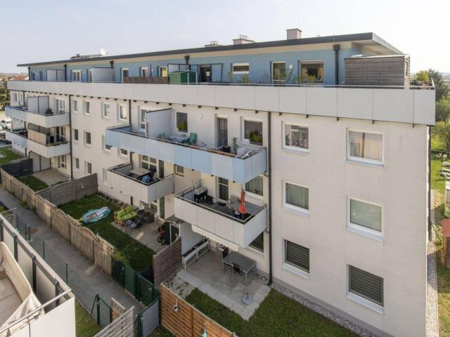 Apartment mieten in Stollhofen, Traismauer