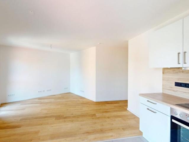 Apartment mieten in Gibitzenhof, Nürnberg