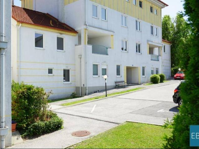 Apartment mieten in Oberpullendorf, Burgenland