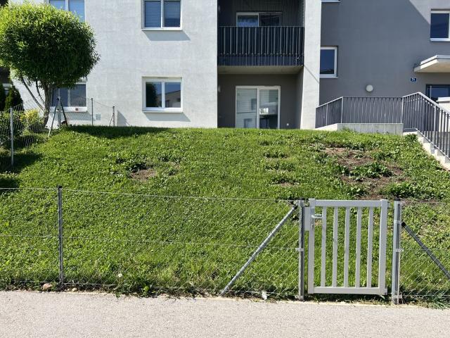 Apartment mieten in Eisenstadt