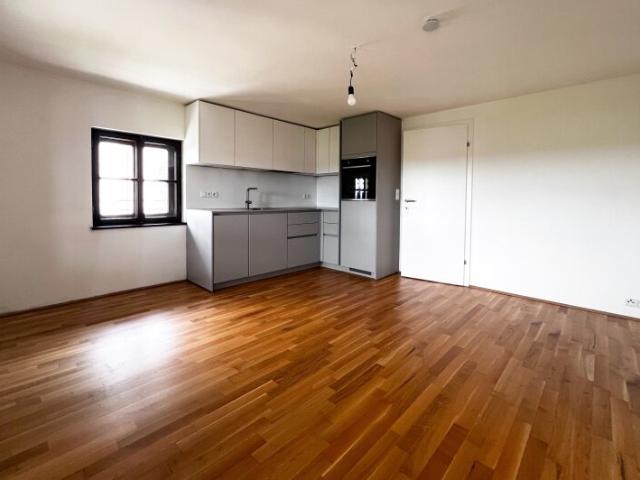 Wohnung mieten in Salzburg
