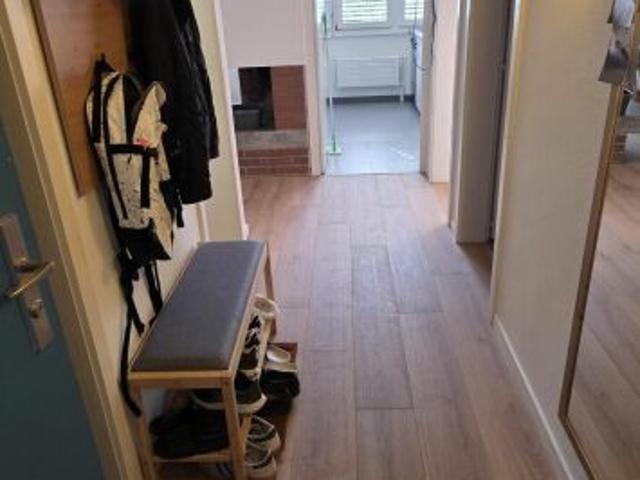 Wohnung mieten in Muri bei Bern, Bern