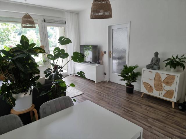 Apartment mieten in Mödling, Niederösterreich