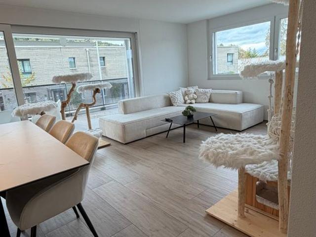 Apartment mieten in Burg AG, Menziken