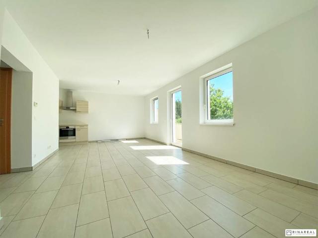 Wohnung mieten in Neustadtl an der Donau, Niederösterreich