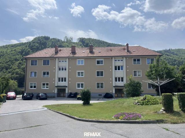 Wohnung kaufen in Steiermark