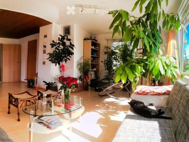 Apartment mieten in Herzogenbuchsee, Verwaltungsregion Emmental-Oberaargau