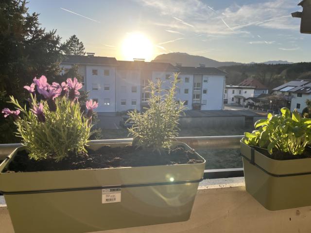 Apartment kaufen in Goritschach/Zagoriče, Finkenstein