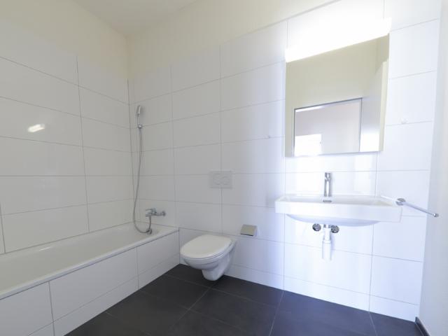 Apartment mieten in Münchenstein
