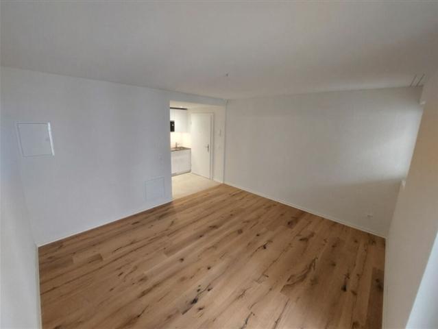 Wohnung mieten in Escher Wyss, Zürich