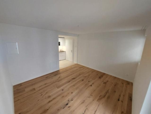 Wohnung mieten in Einigen, Zürich
