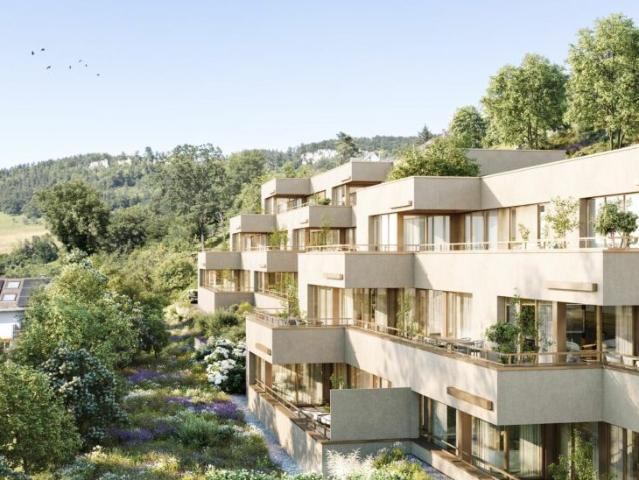Terrassenwohnung kaufen in Duggingen, Basel-Landschaft