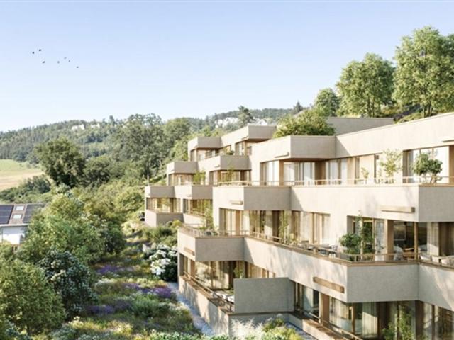 Wohnung kaufen in Duggingen, Basel-Landschaft