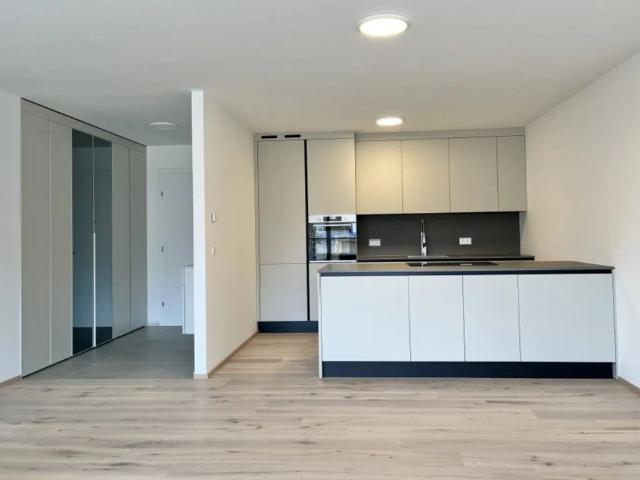 Apartment mieten in Guntramsdorf, Niederösterreich
