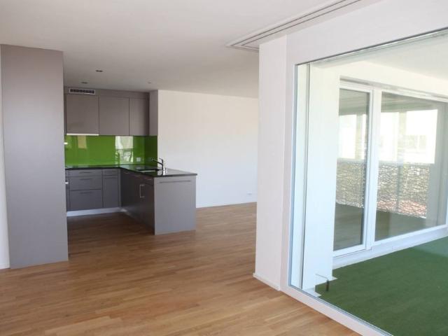 Apartment mieten in Burg AG, Menziken