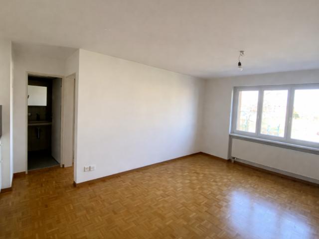 Apartment mieten in Einigen, Zürich