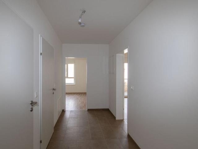 Wohnung mieten in Großstelzendorf, Göllersdorf
