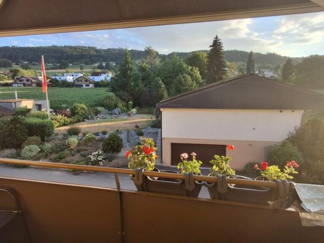Wohnung mieten in Reinach (AG), Aargau