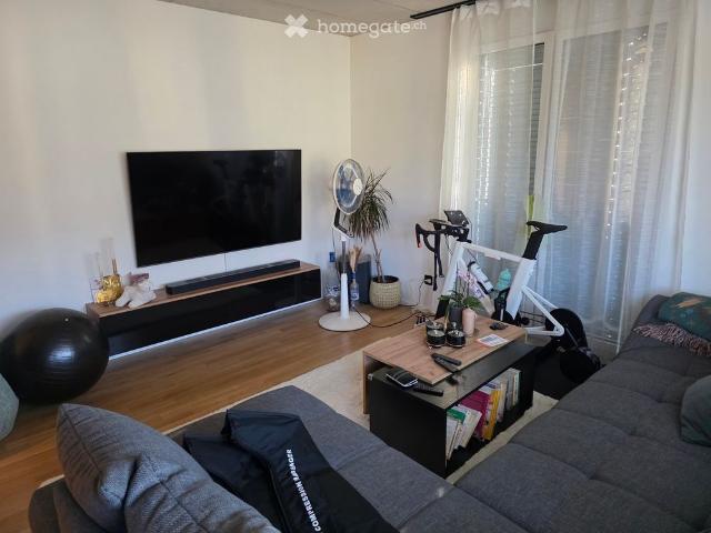 Apartment mieten in Oberseen, Winterthur