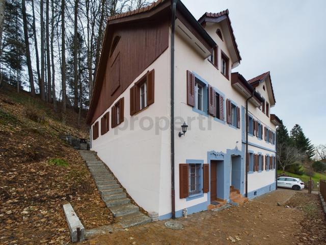 Etagenwohnung mieten in Heiden