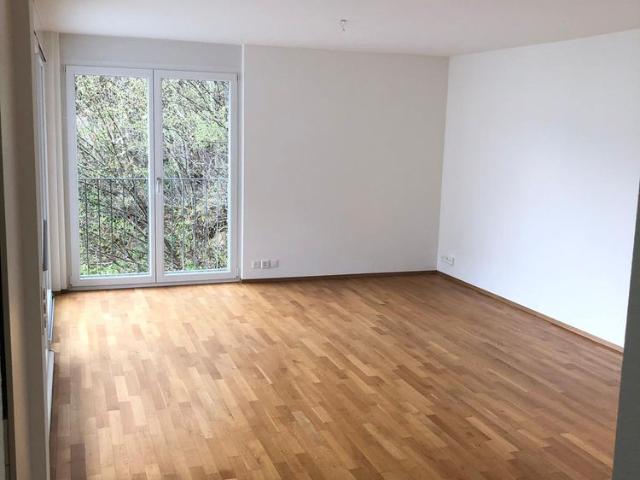 Apartment mieten in Rothen, Luzern