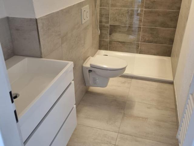Wohnung kaufen in Rheinfelden, Baden-Württemberg