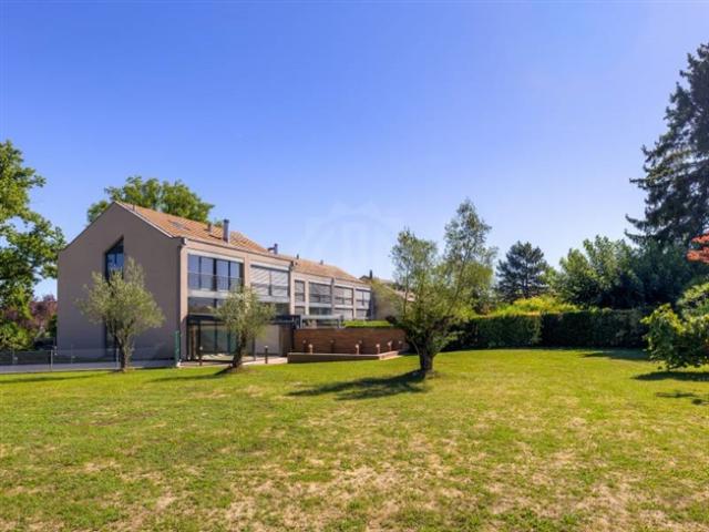 Einfamilienhaus kaufen in Collex