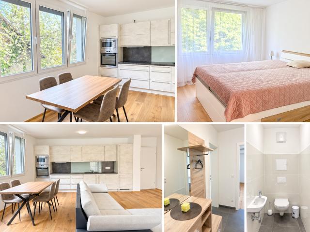 Wohnung mieten in Seestadt, Wien