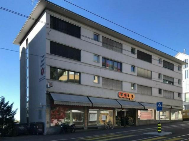 Wohnung mieten in Einigen, Zürich