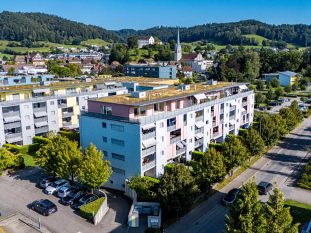 Apartment mieten in Reiden, Lü