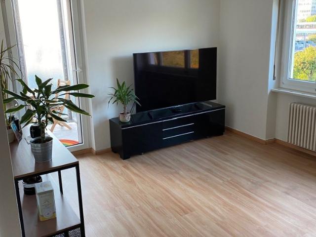 Apartment mieten in Muttenz, Bezirk Arlesheim