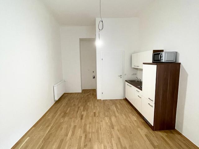 Apartment mieten in Innere Stadt, Gersdorf-Feistritz