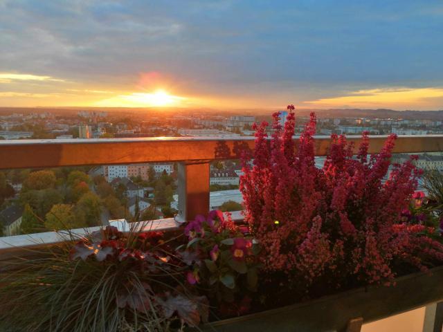 Apartment mieten in Wels, Oberösterreich