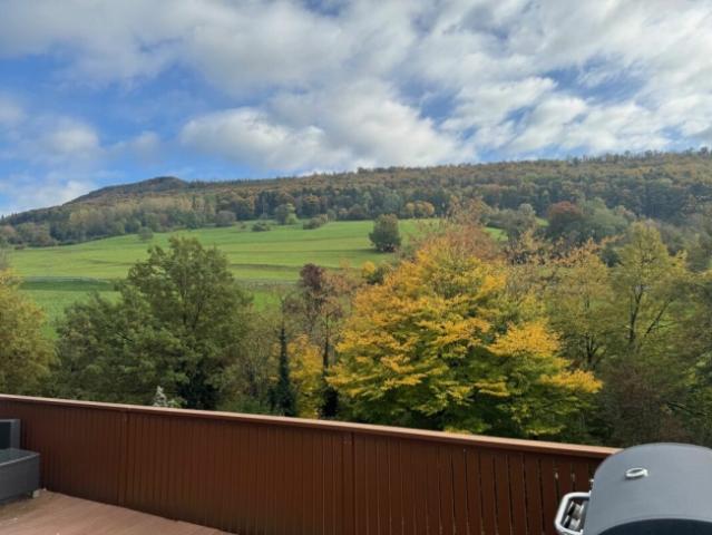 Einfamilienhaus mieten in Ennetbaden, Aargau