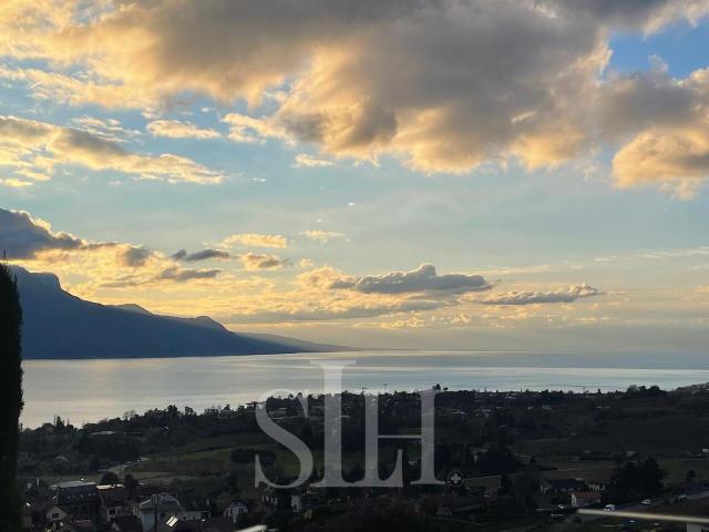 Wohnung kaufen in Chailly-Montreux, Waadt