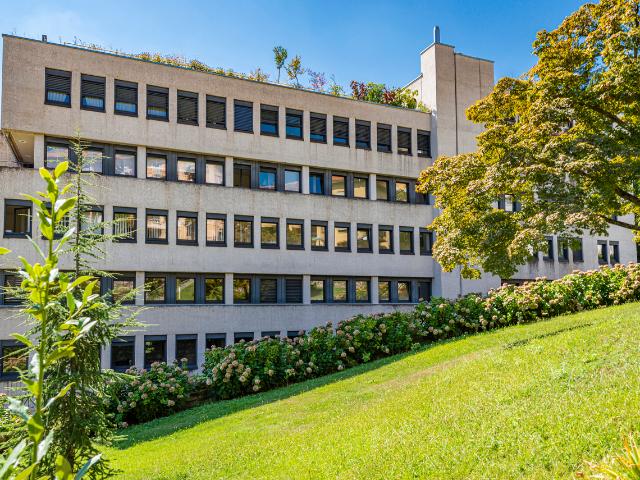 Büro mieten in Aldesago, Tessin