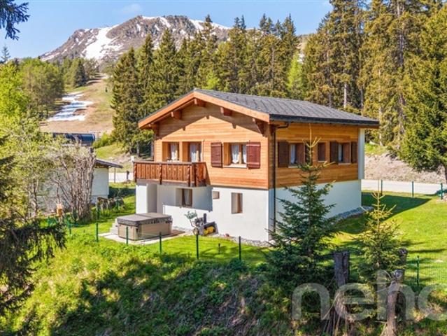 Haus kaufen in Vex, Wallis