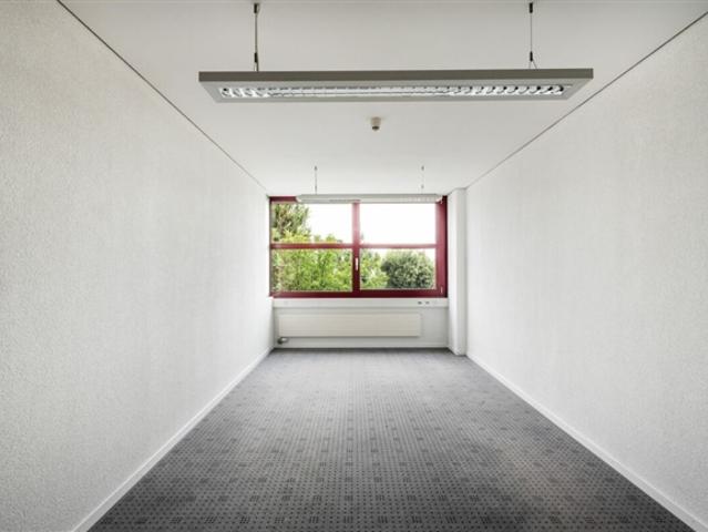 Büro mieten in Staad SG, Thal