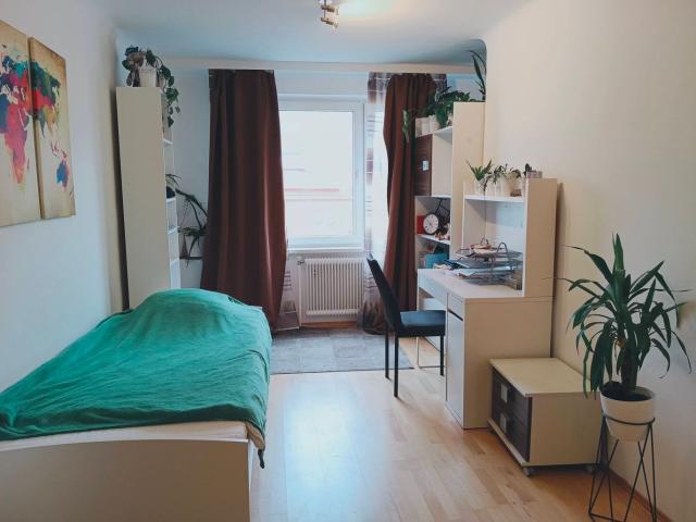 Zimmer mieten in Donaustadt, Wien