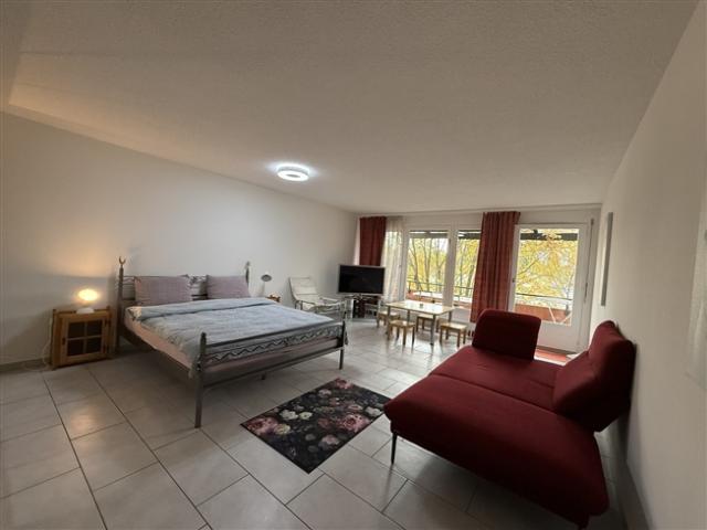 Immobilie mieten in Birmensdorf (ZH), Zürich