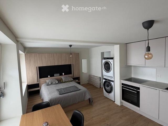 Apartment mieten in Samstagern, Richterswil
