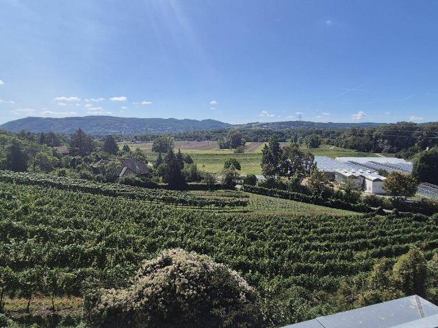 Haus mieten in Bisamberg, Niederösterreich
