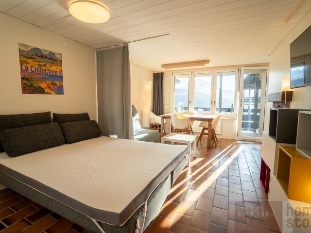 Immobilie kaufen in Gryon, Waadt