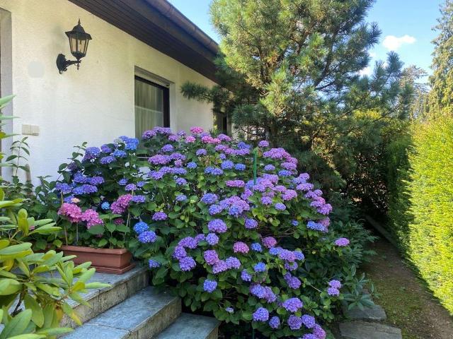 Haus kaufen in Kronberg, Kronberg im Taunus