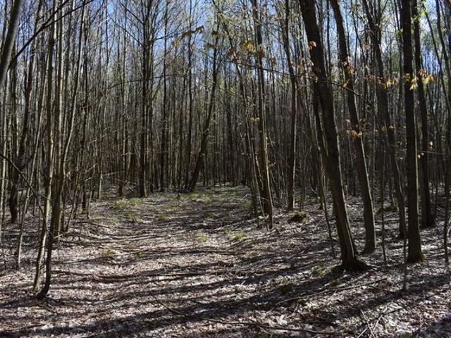 Land for sale in Warren, Pennsylvania