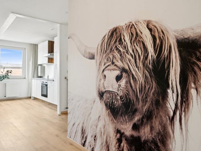 Apartment mieten in Mitte, Braunschweig