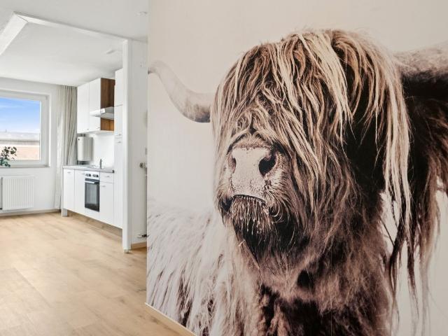 Apartment mieten in Mitte, Braunschweig
