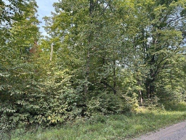 Land for sale in Sawyer, Wisconsin